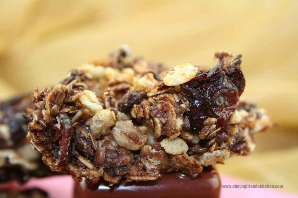 Chewy Chocolate Granola Clusters